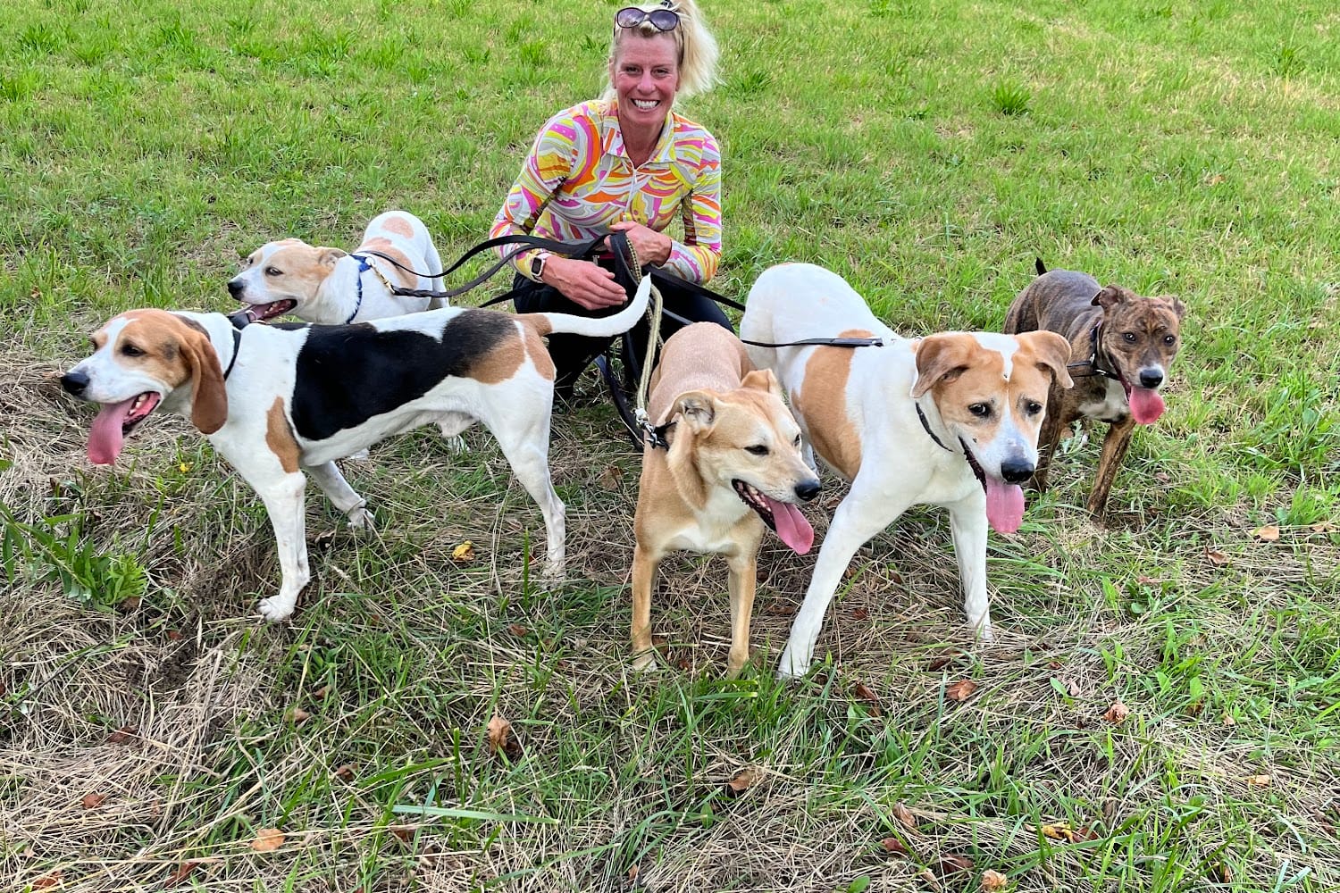 Medina County Animal Shelter