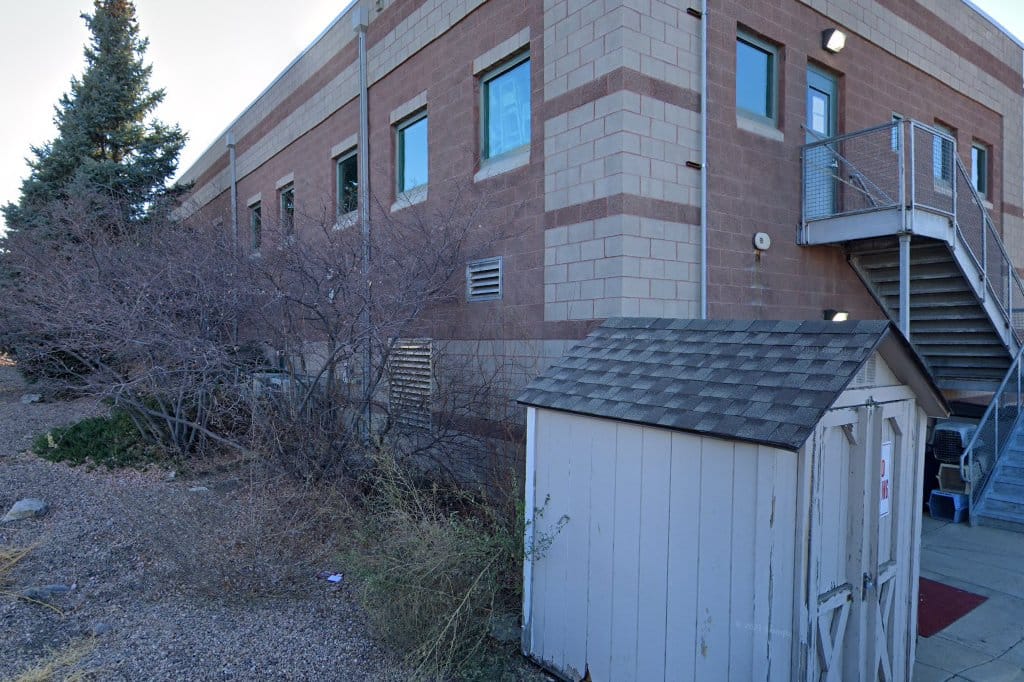Rocky Mountain Alley Cat Alliance