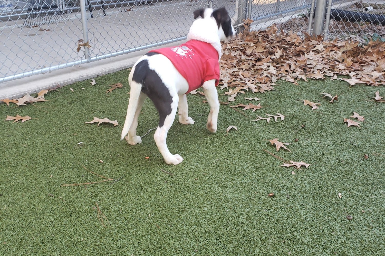 Germantown Animal Shelter