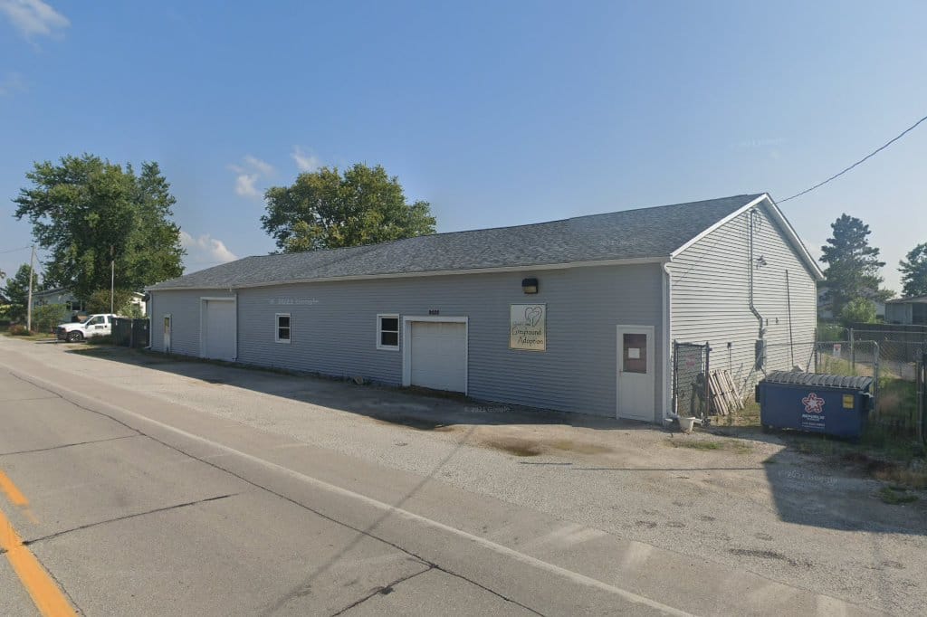 Quad Cities Greyhound Adoption