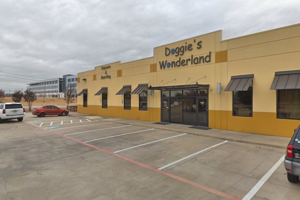 Doggie's Wonderland