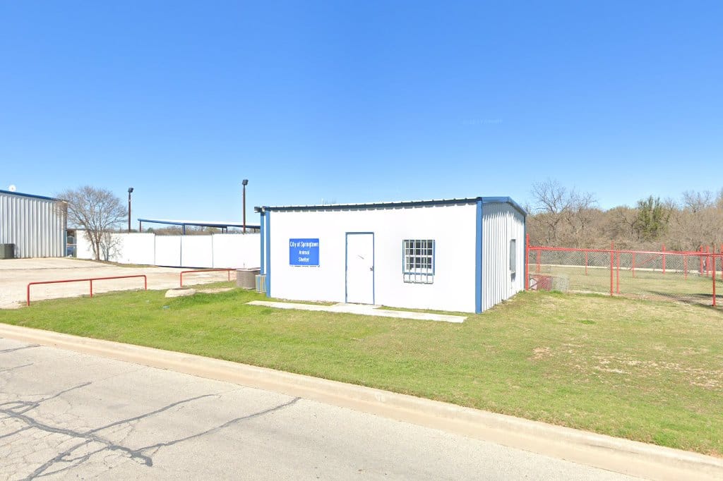 Springtown Animal Control