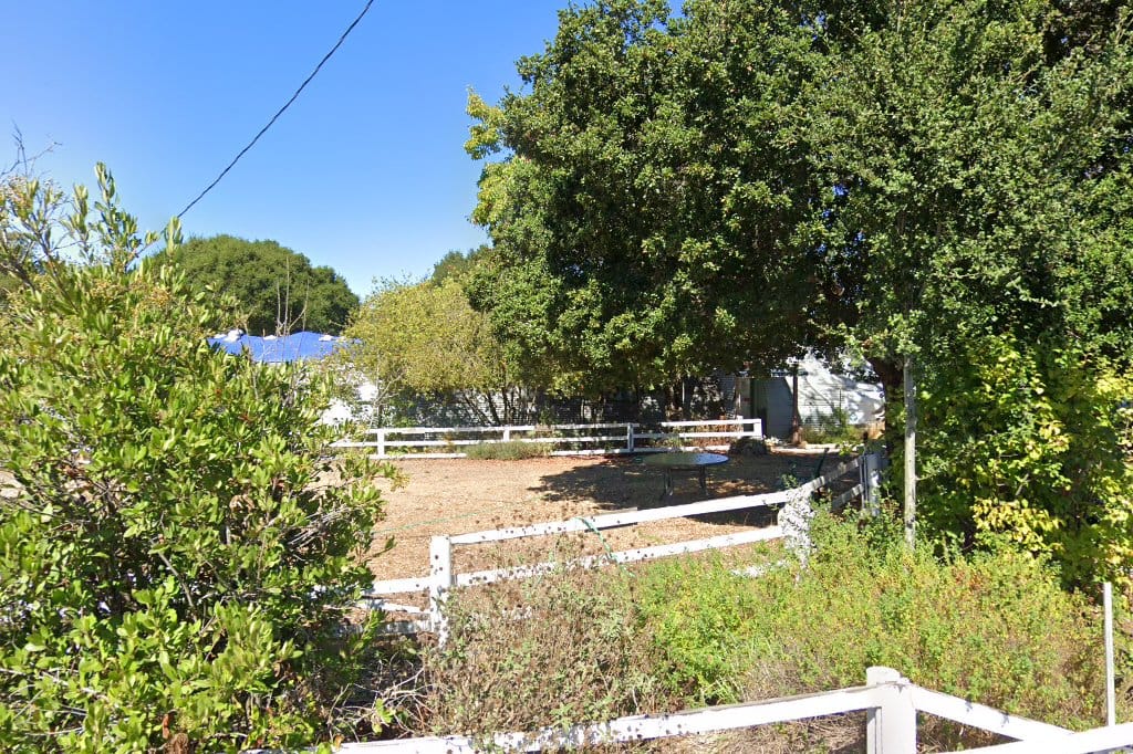 Bird Rescue Center