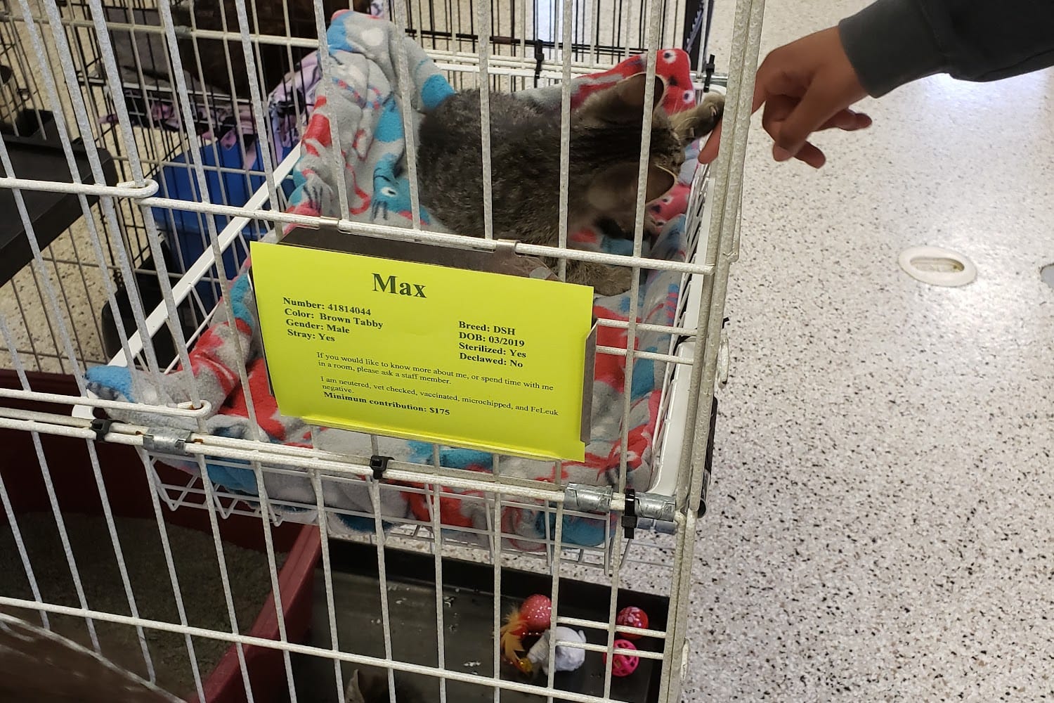 Crossroads Animal Shelter