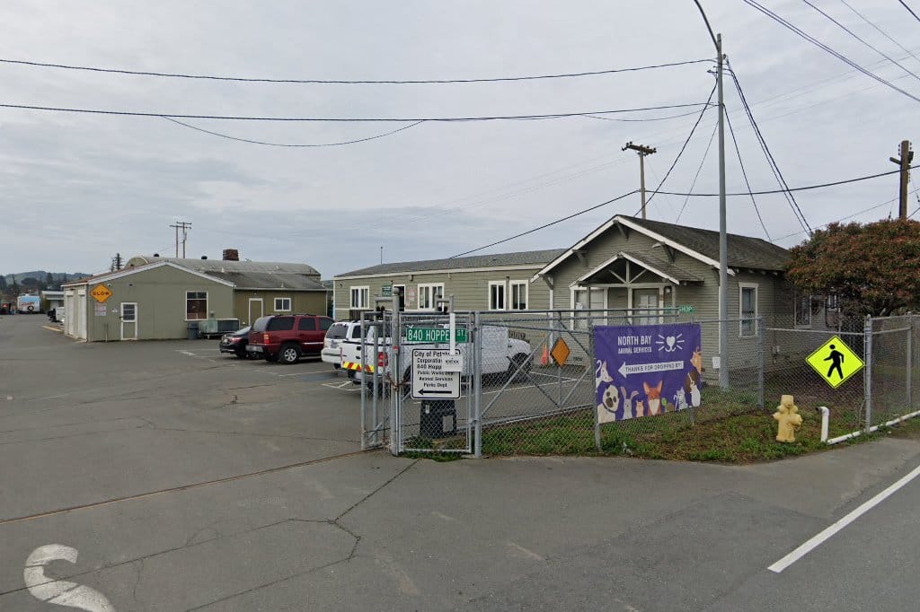 Petaluma Animal Shelter & Adoption Center