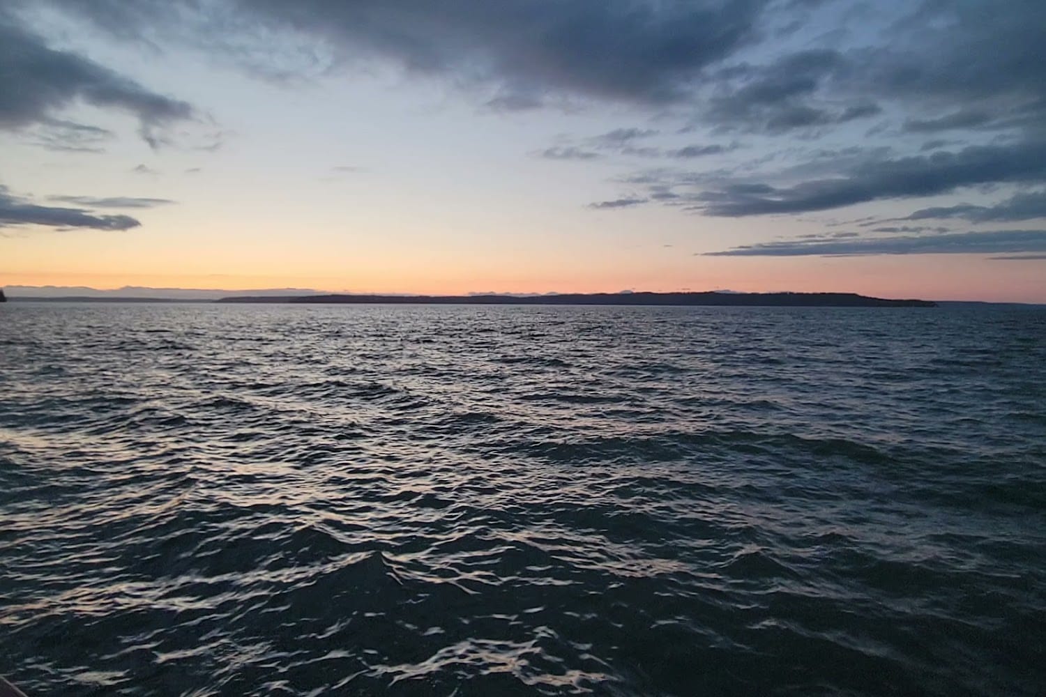 Save Our Critters Society