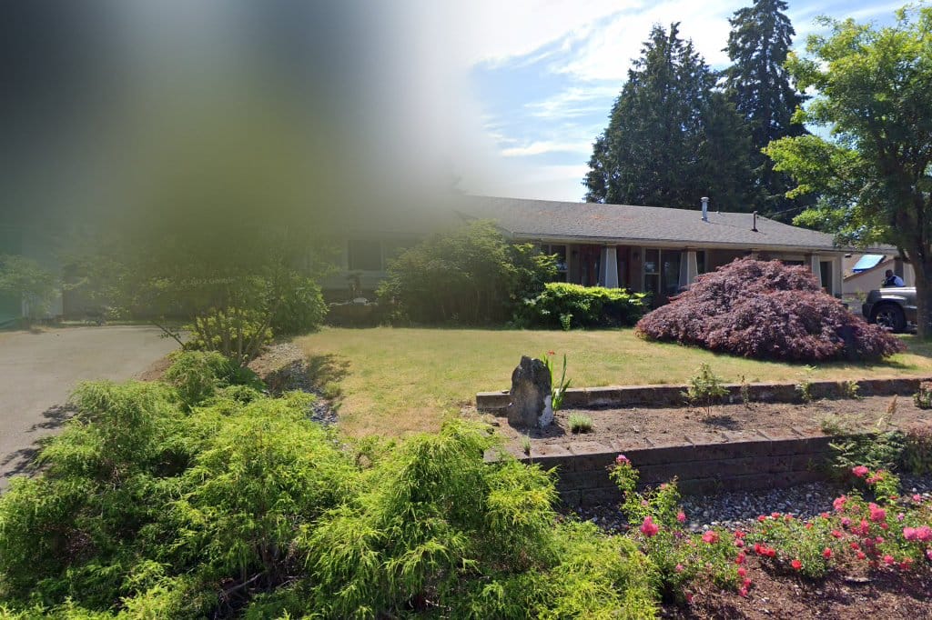 Papillon Haven Rescue