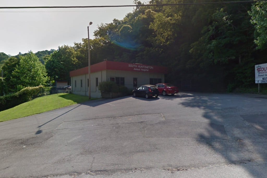 South Huntington Animal Hospital