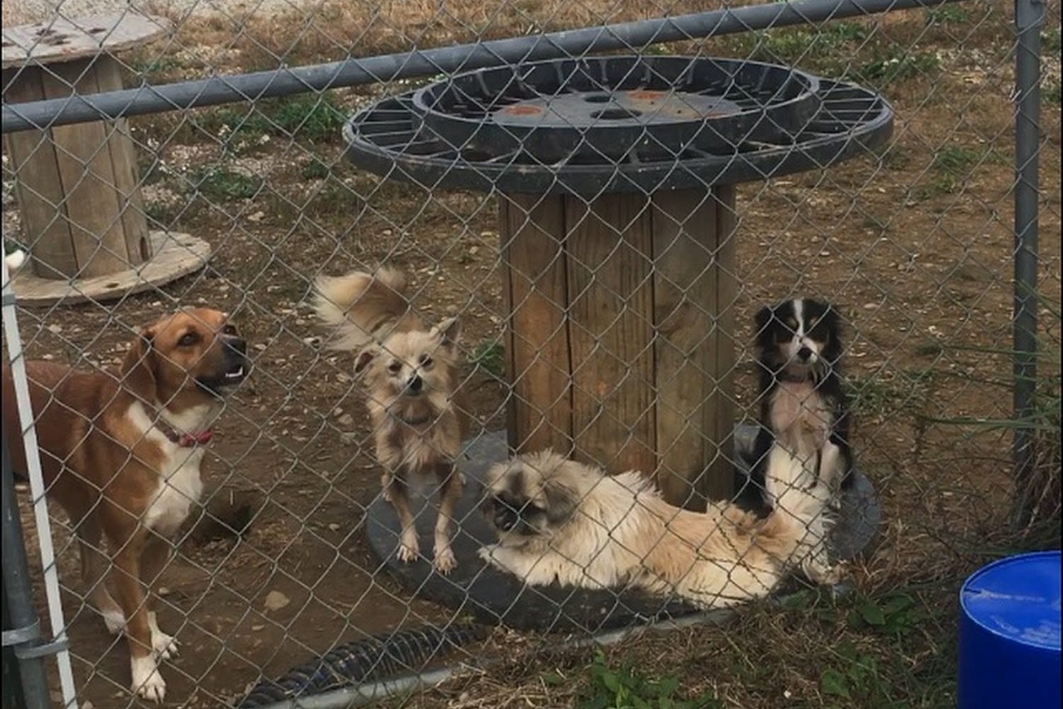 Morgan County Humane Society