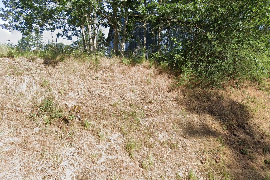 Rainier Animal Control