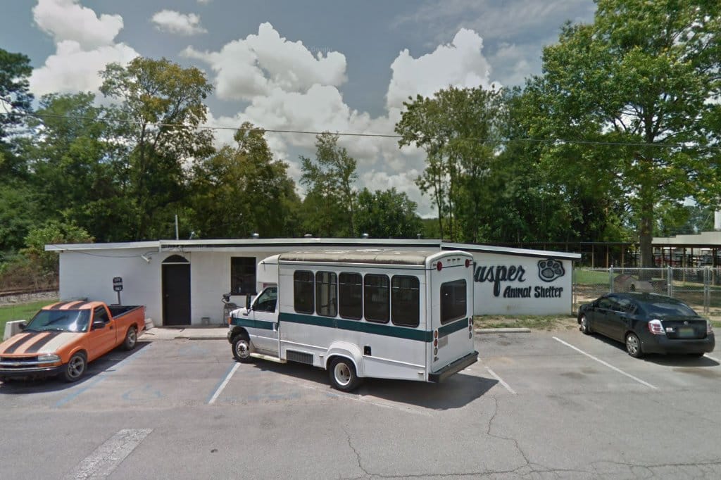 Walker County Humane Society