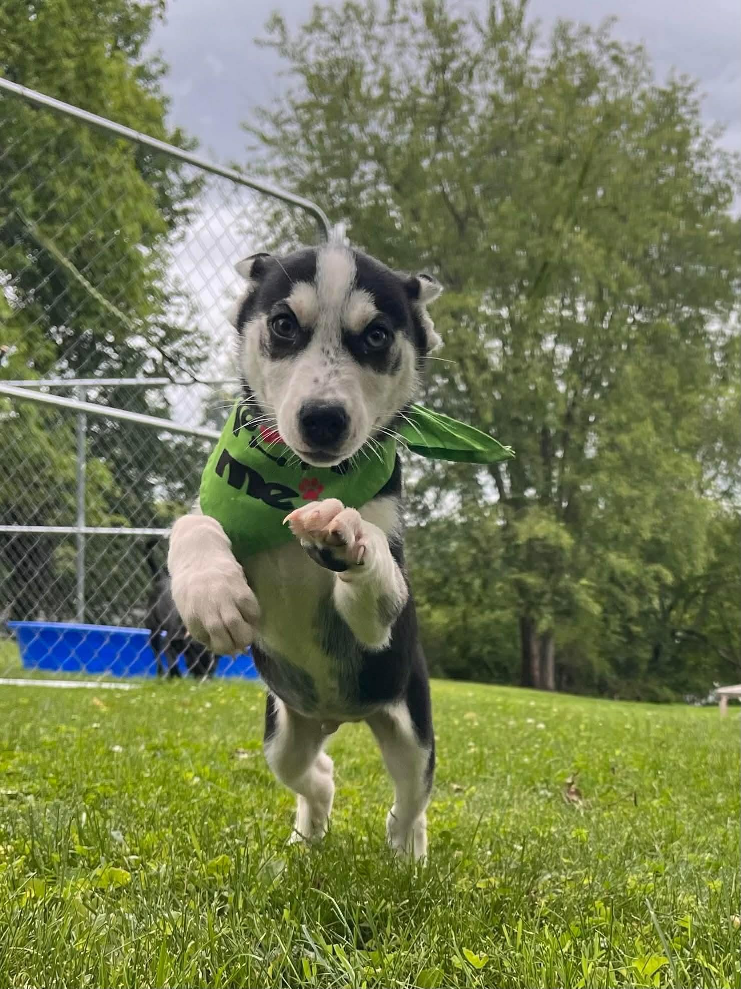 Sid