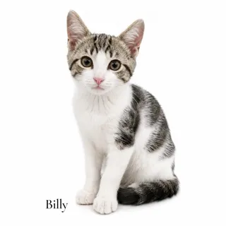 Billy