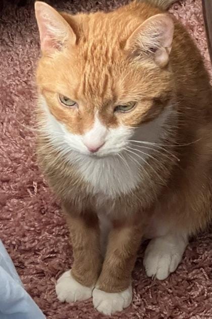 Sir Oliver Max