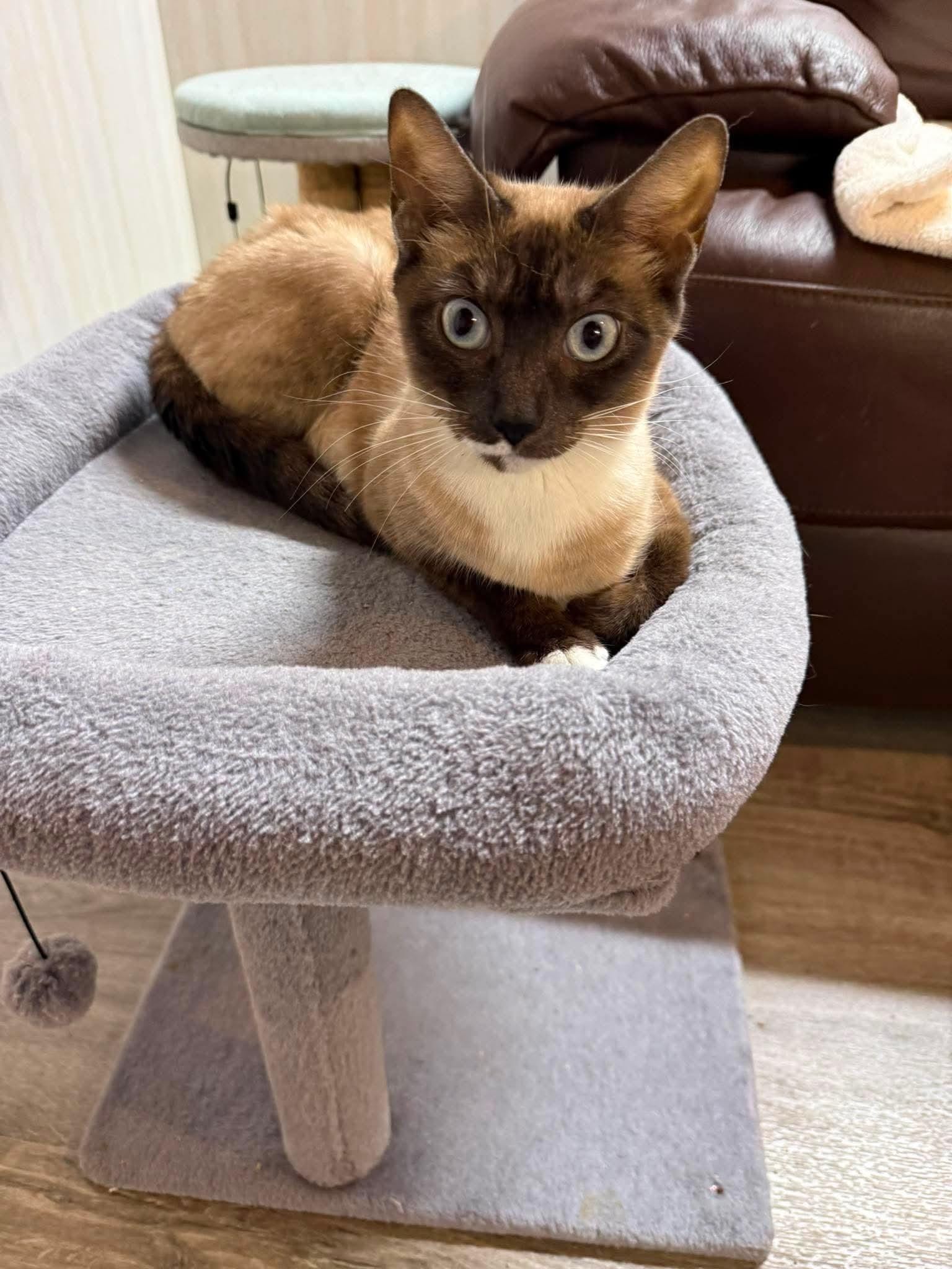 Princess Diana - Sweet and affectionate