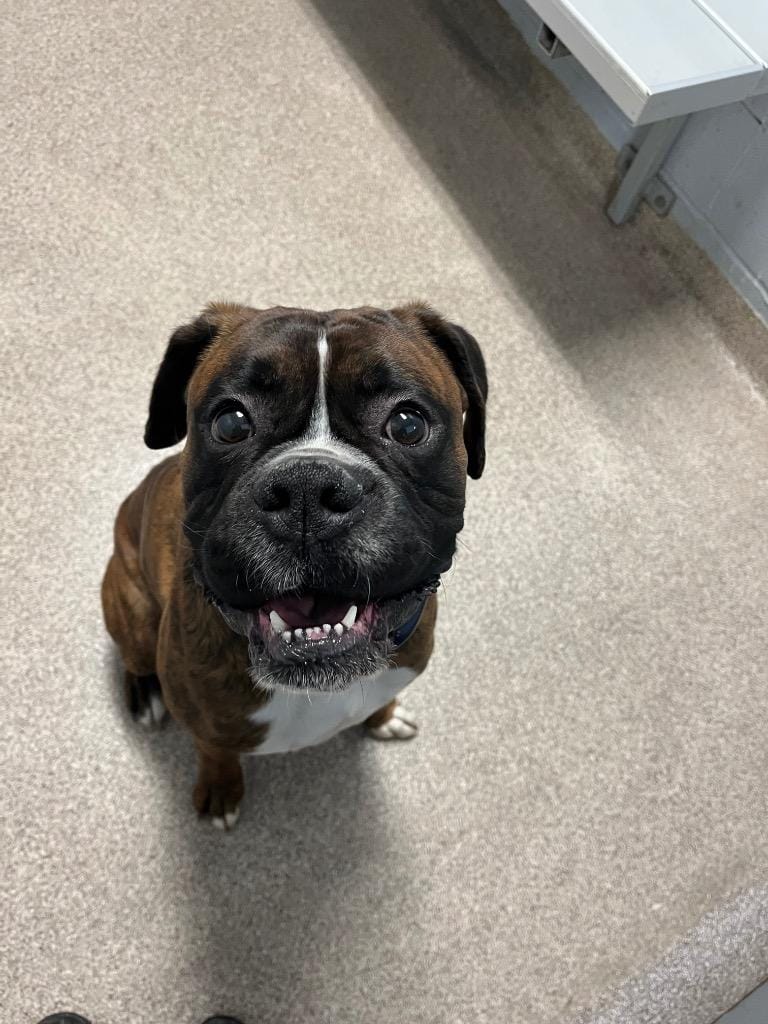 Winston