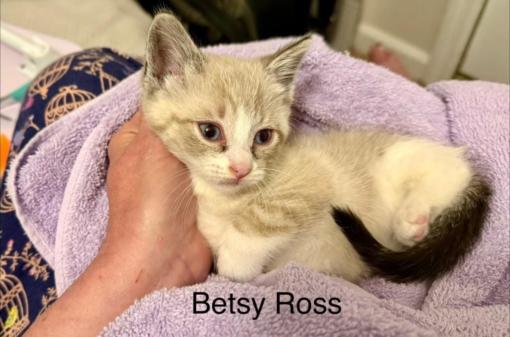 Betsy Ross