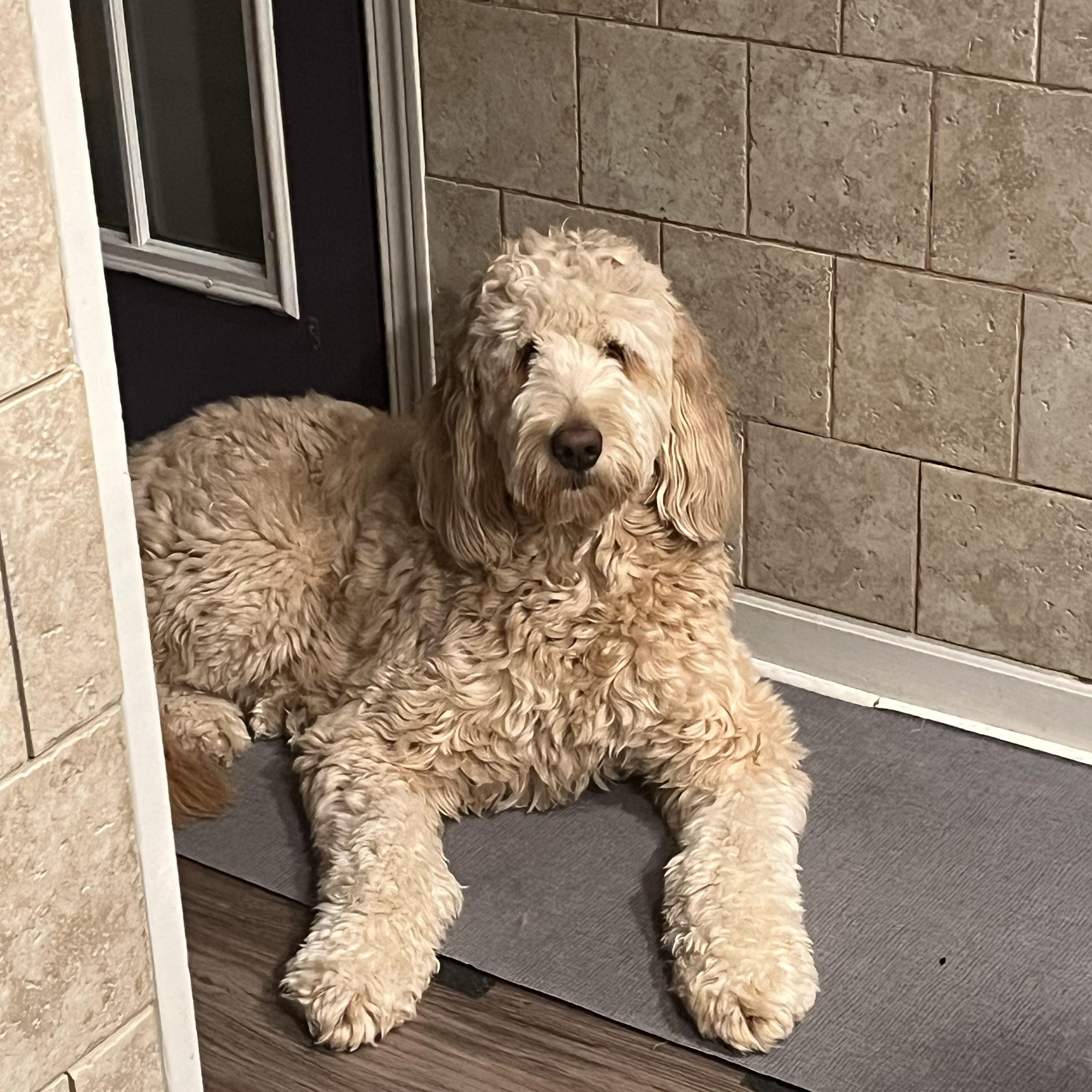 LACIE-ILLINOIS