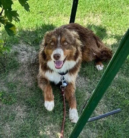 Rusty