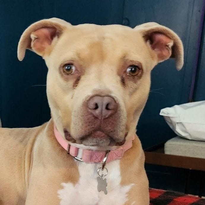 Lil Debbie