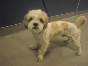 TOTO