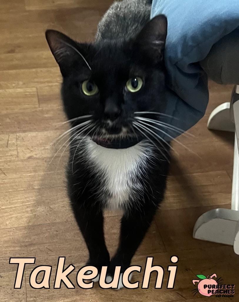 Takeuchi