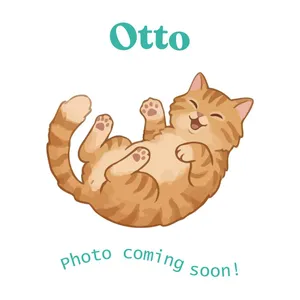 Otto