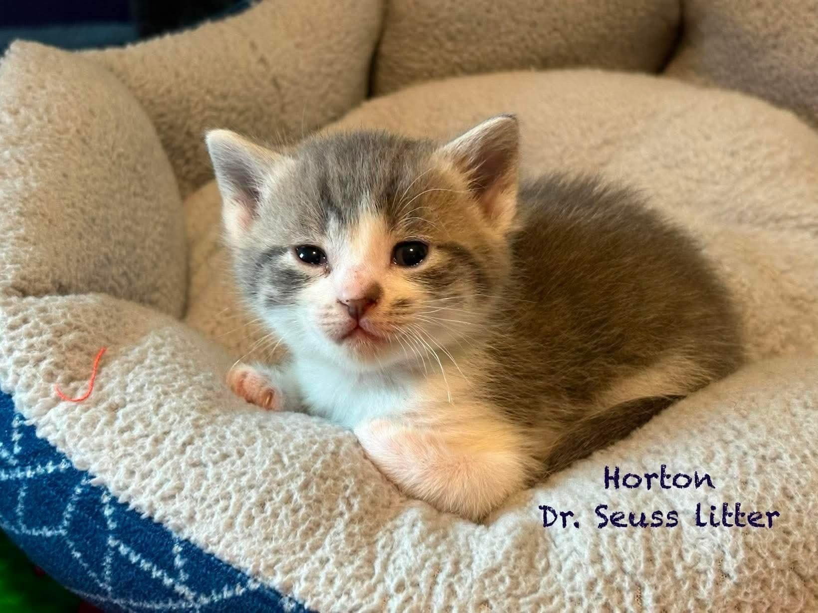Horton