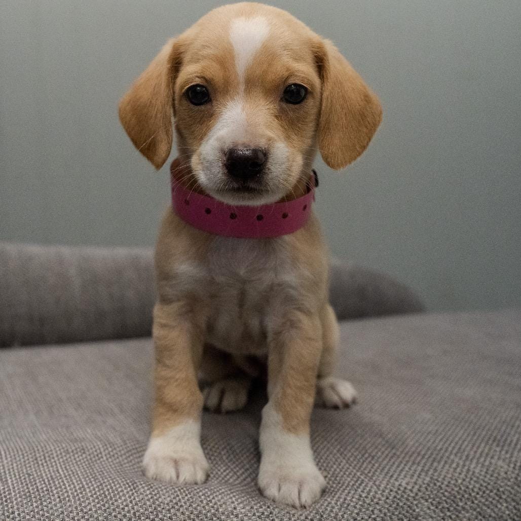 Zoey