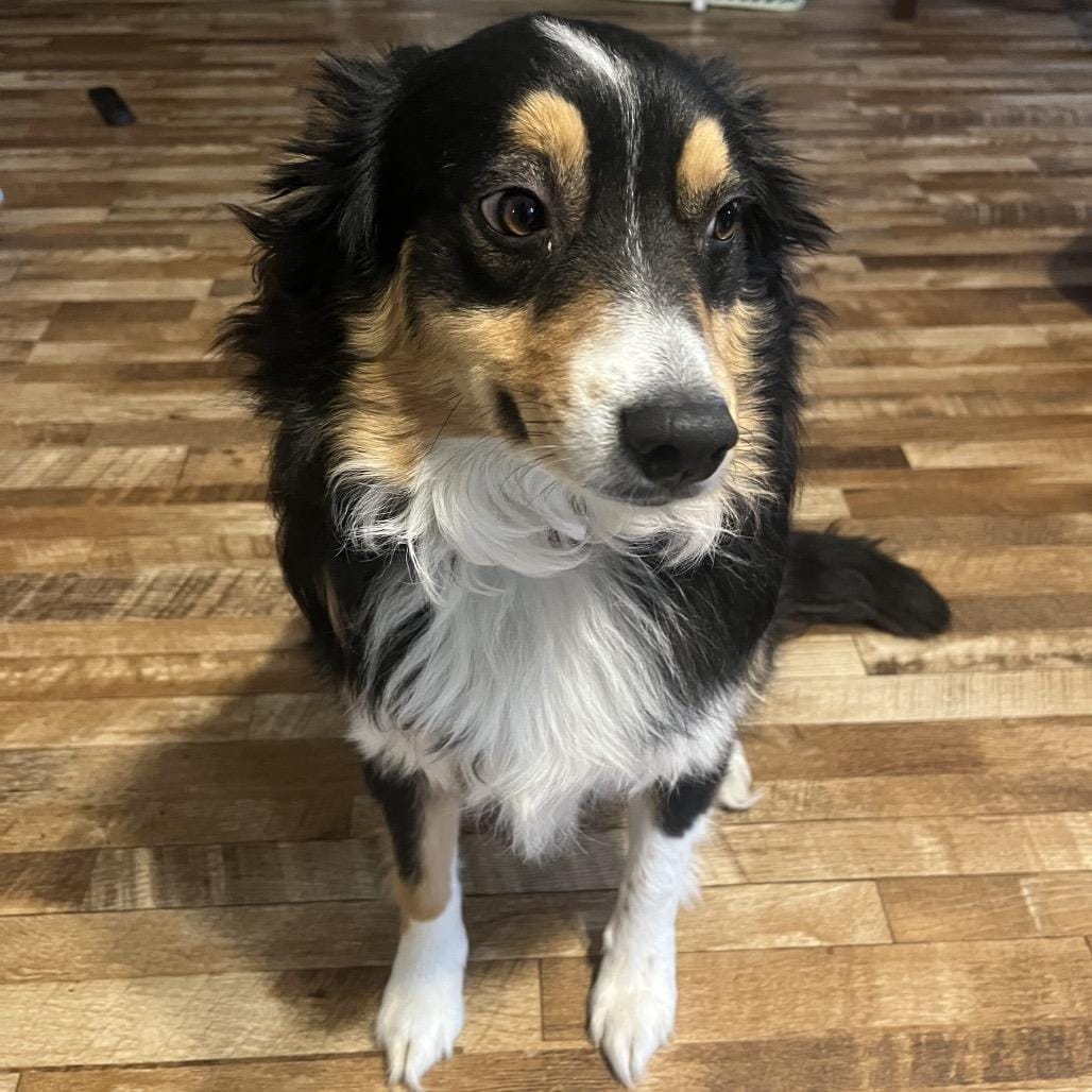 Roscoe