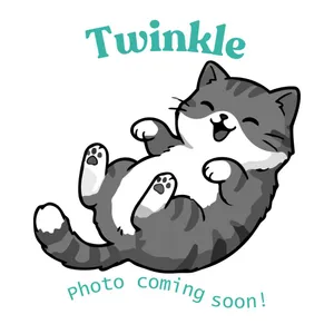 Twinkle