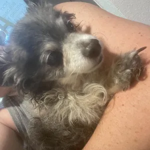 Billy