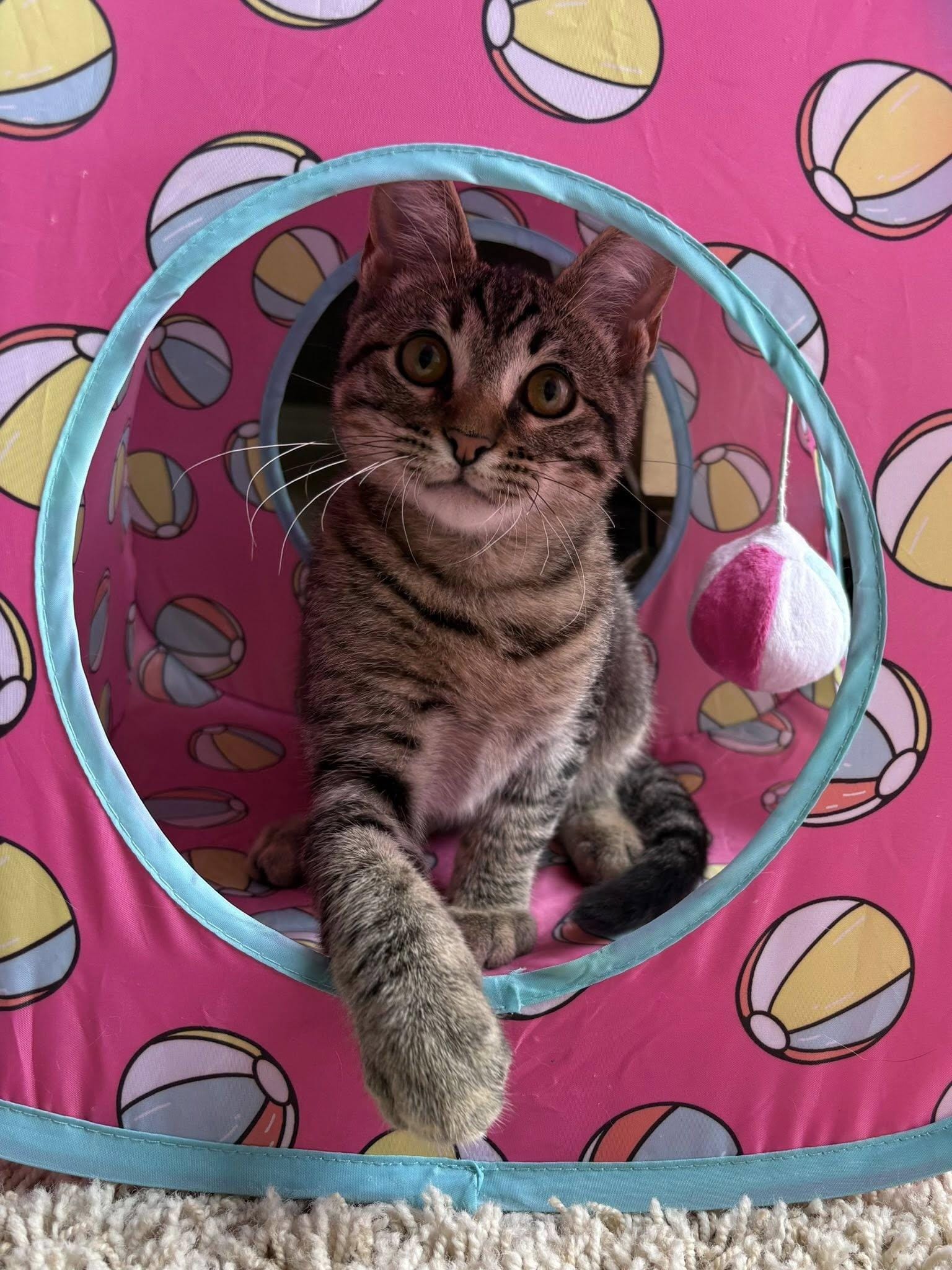 Wiley