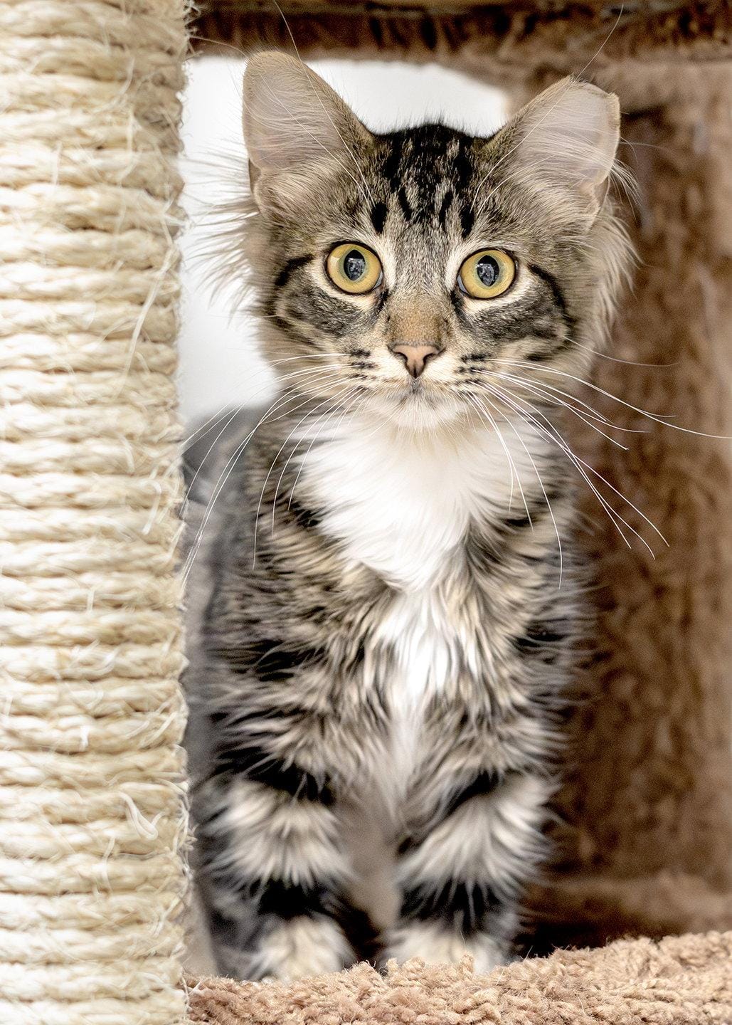 Tucker