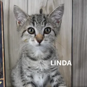Linda