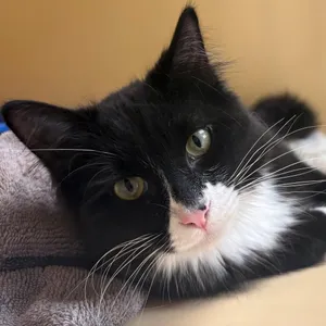 Lenny