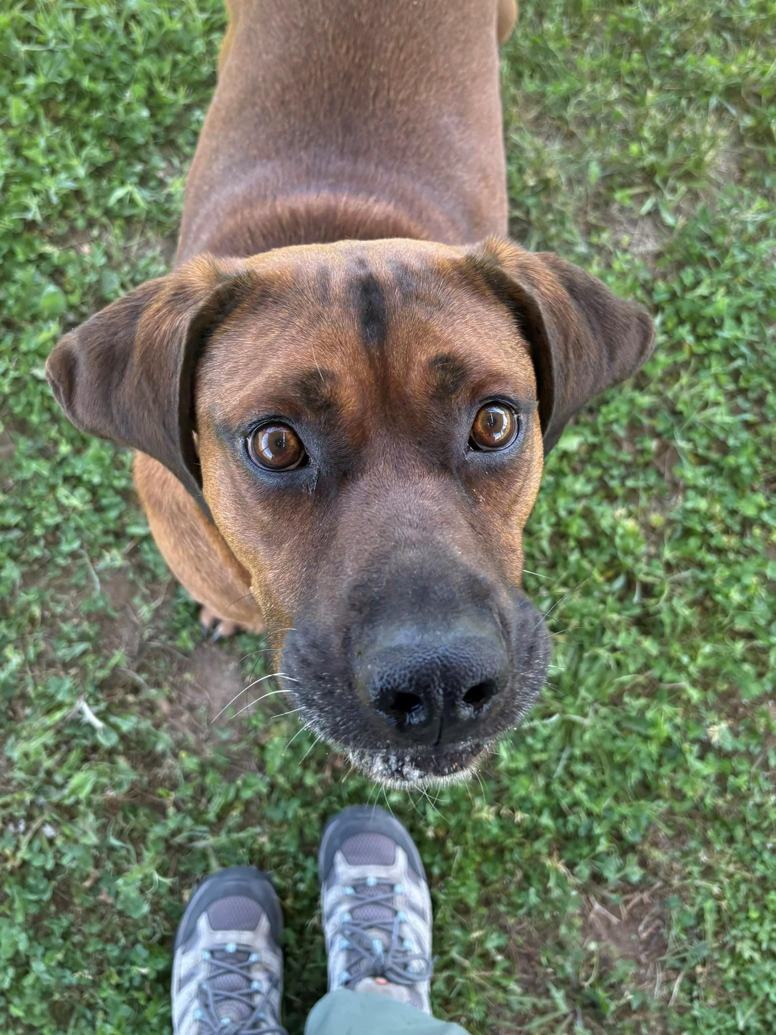 Rusty