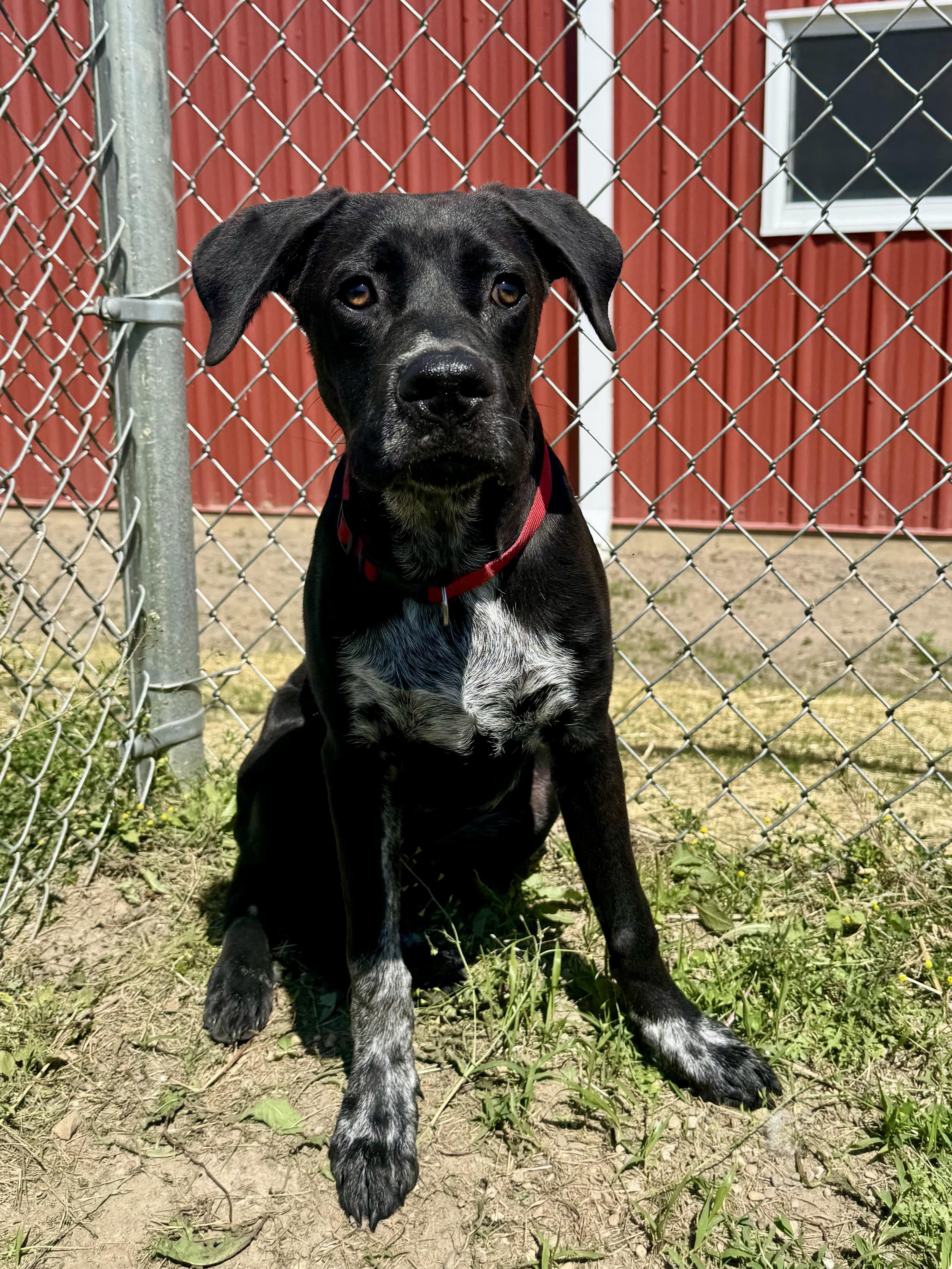 Max