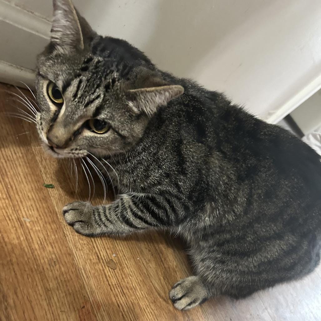 Emmett - Home to Home