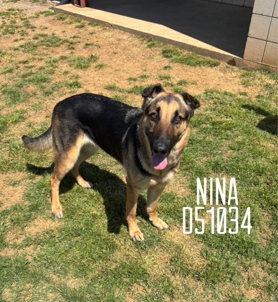Nina