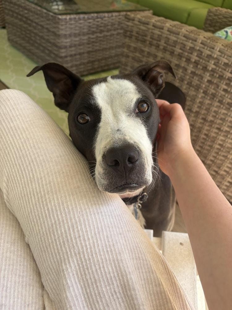 Millie
