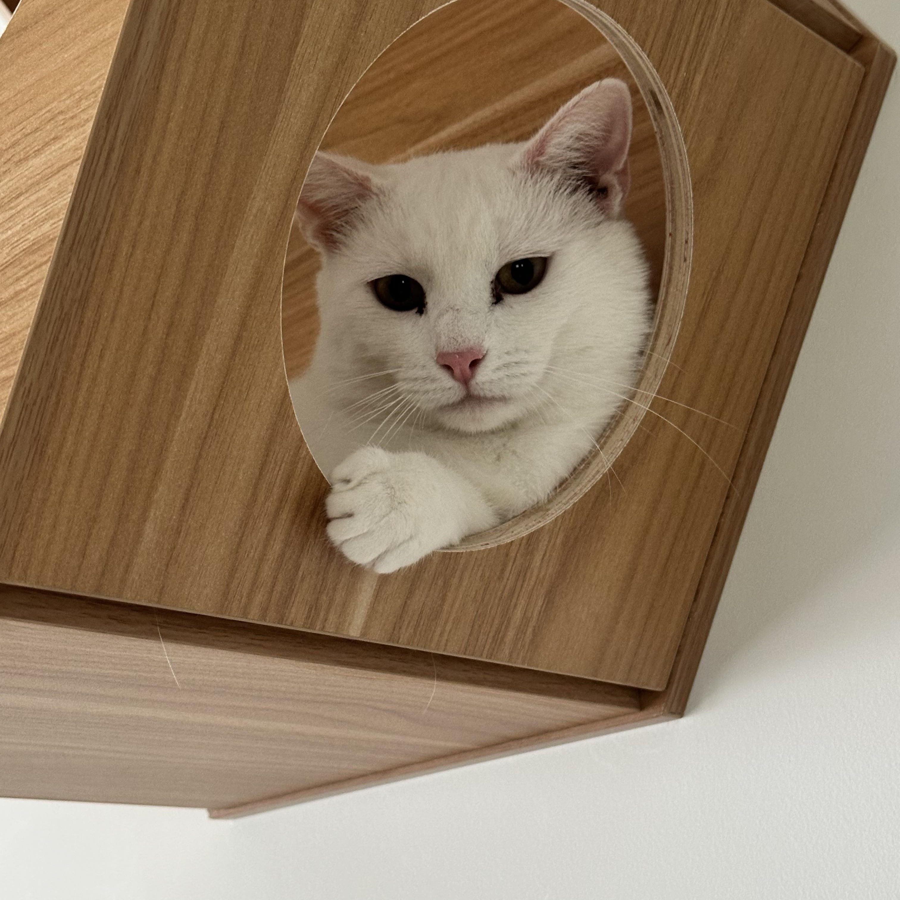 Casper