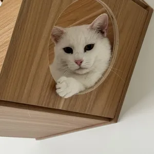 Casper