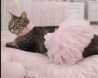 Angelina - Mom of Rosita and Alma