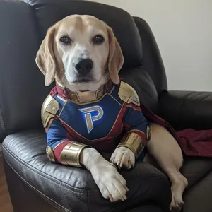 O'Conner