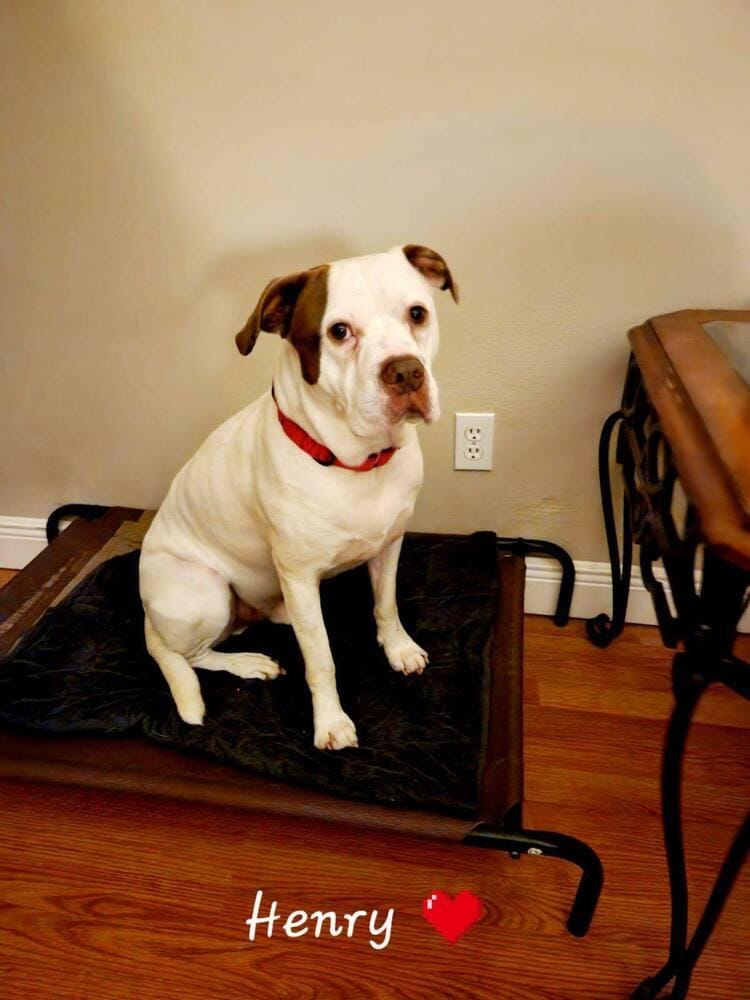 Henry