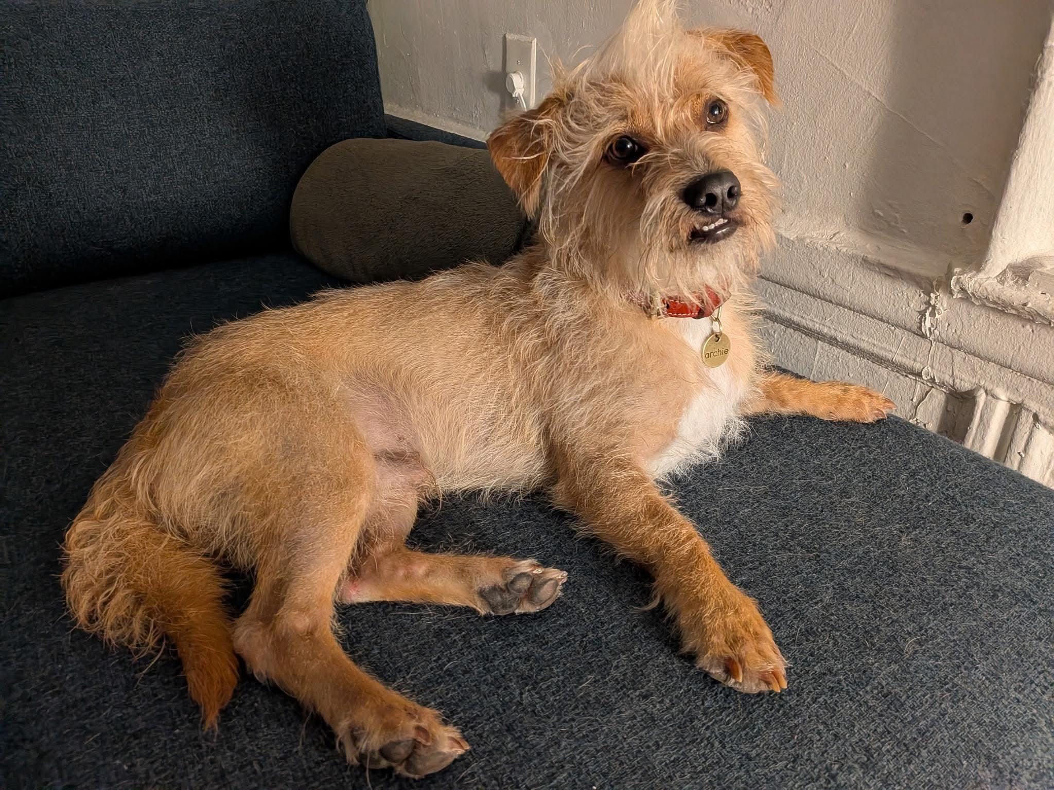 Archie