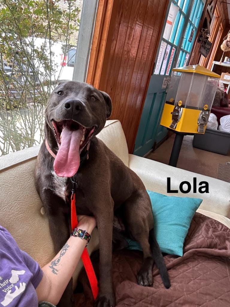 Tiana (Lola)