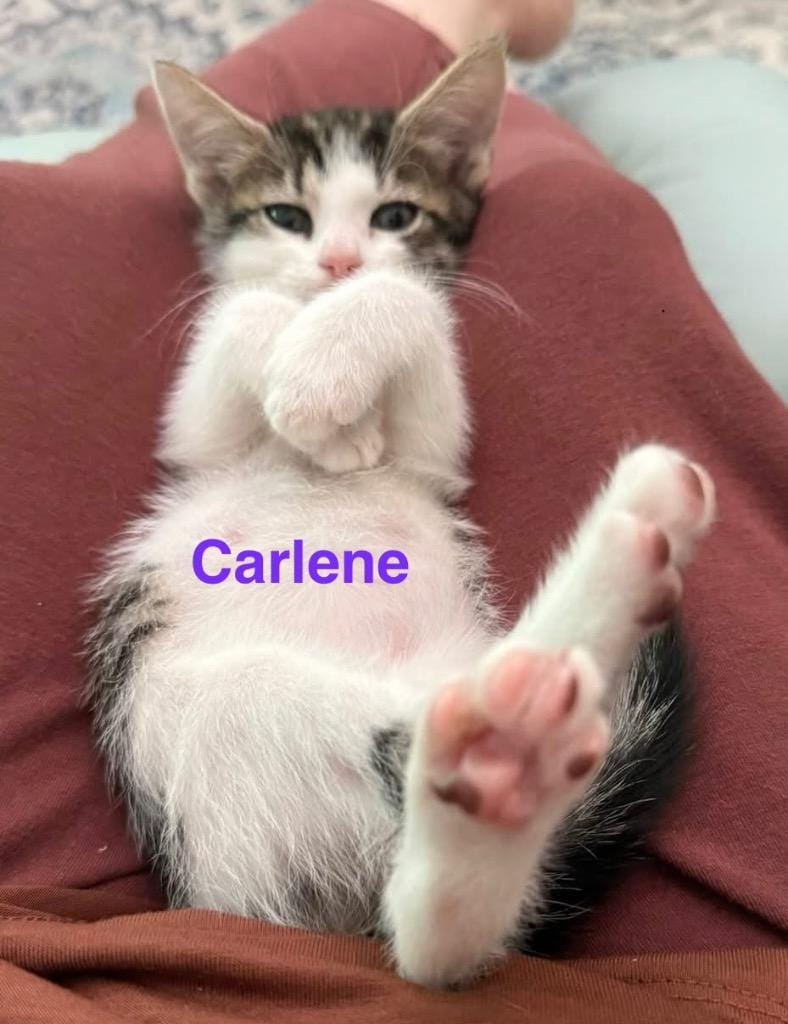 Carlene