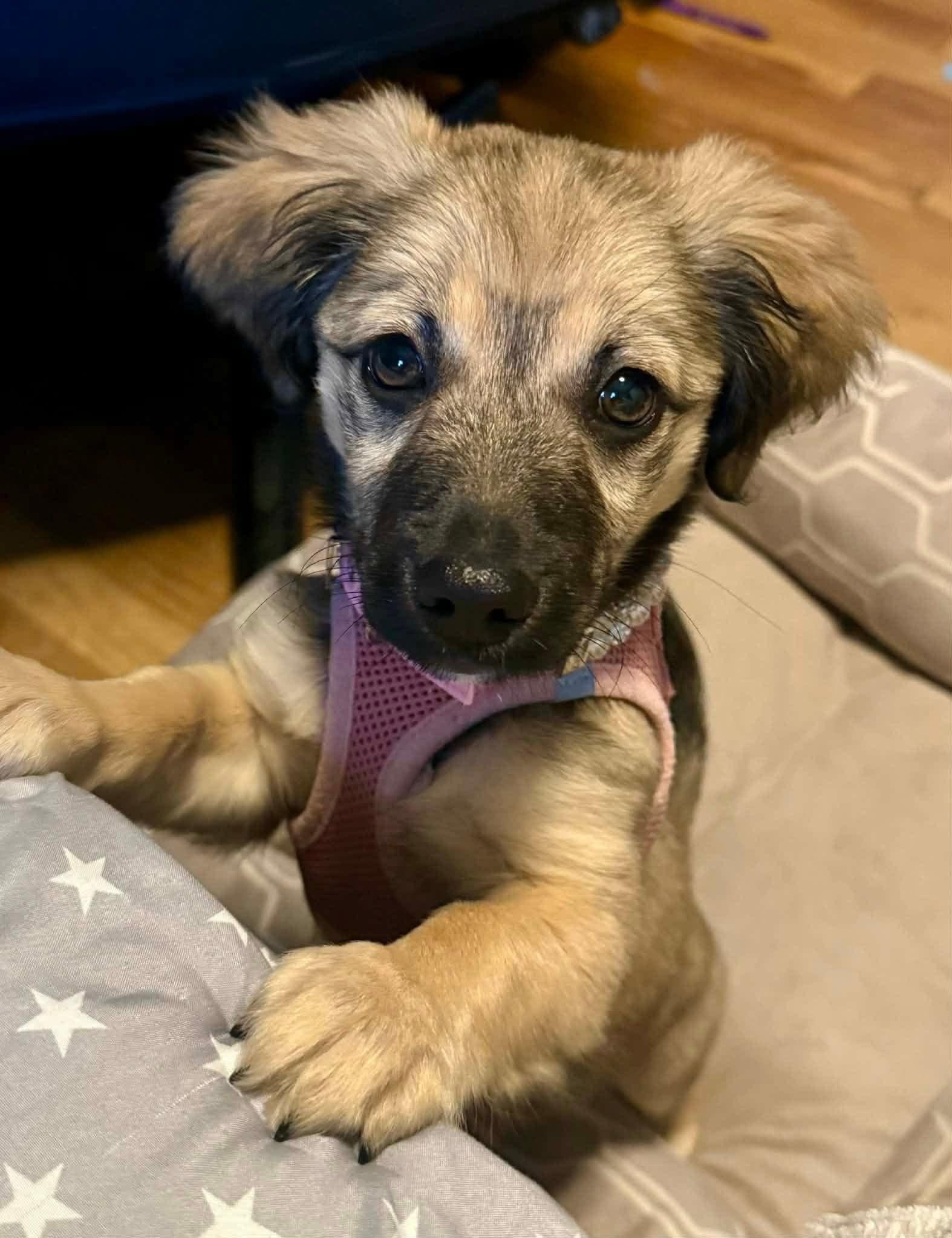 Lucy